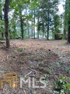 318 Highway 21 - Photo 1