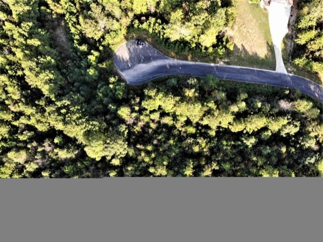 0 Stonechase Ln - Photo 1
