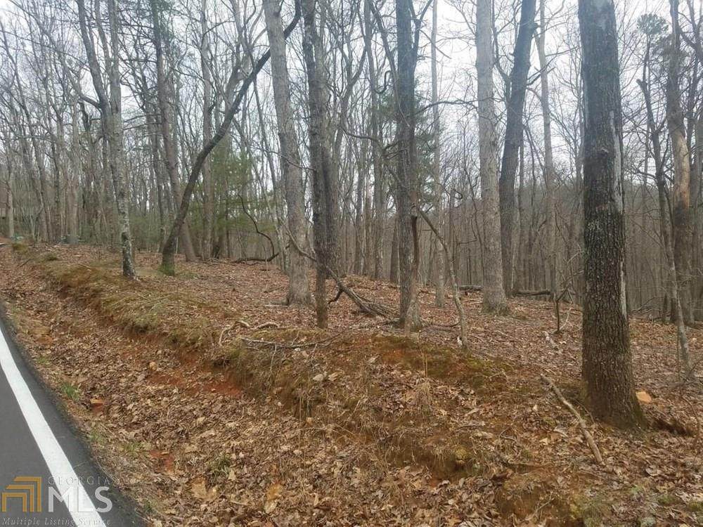 1041 Woodland Trce - Photo 1