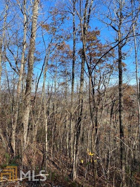 0 Walnut Mt Rd - Photo 1