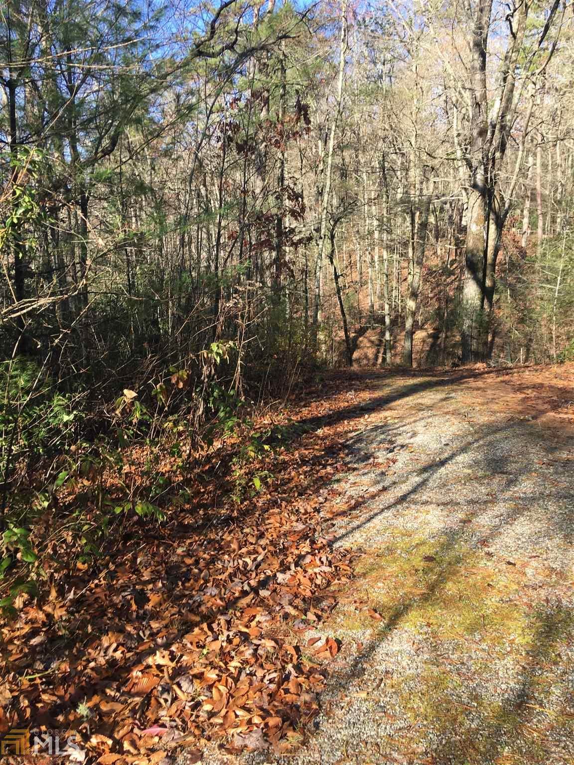 0 Moses Rd - Photo 1