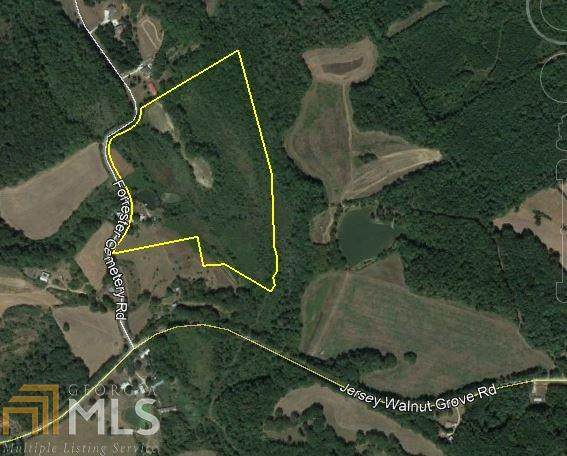 0 Forrester Cemetery Rd - Photo 1