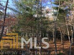 0 Gray Eagle Ln - Photo 1