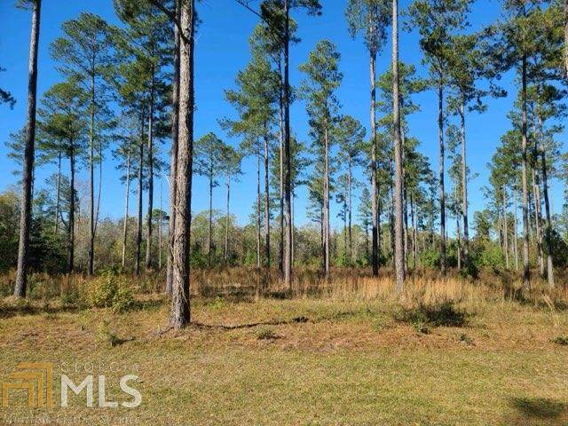 0 Brannen Lake Rd - Photo 1