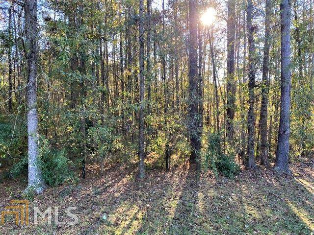 0 Waymanville Rd - Photo 1