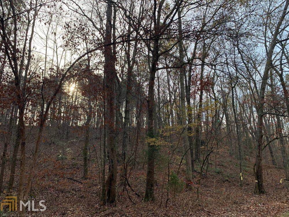 0 Bells Ferry Rd - Photo 1