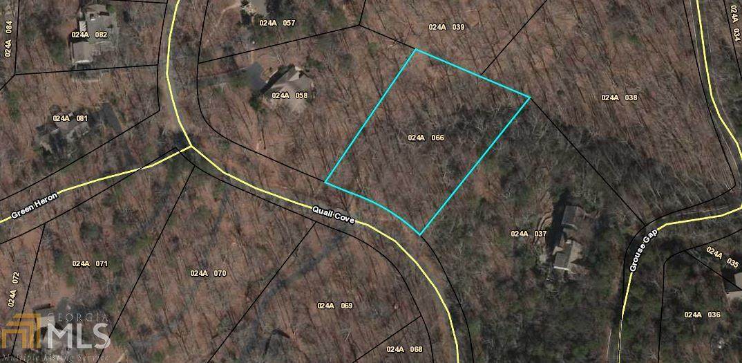 1168 Quail Cv - Photo 1
