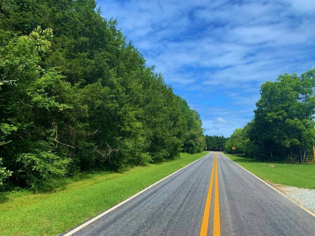 0 Goolsby Rd - Photo 1