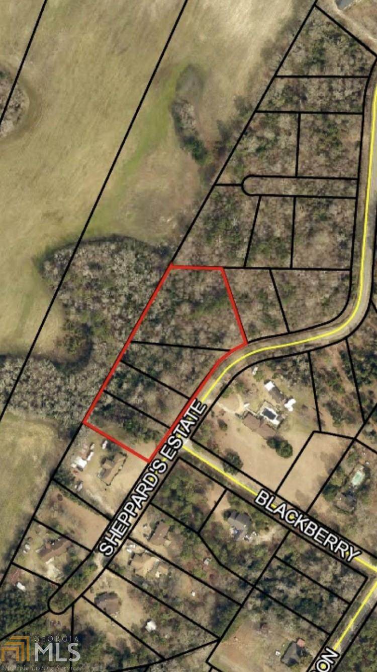 0 Sheppard Estate Loop - Photo 1