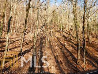 4104 Woodland Trce - Photo 1