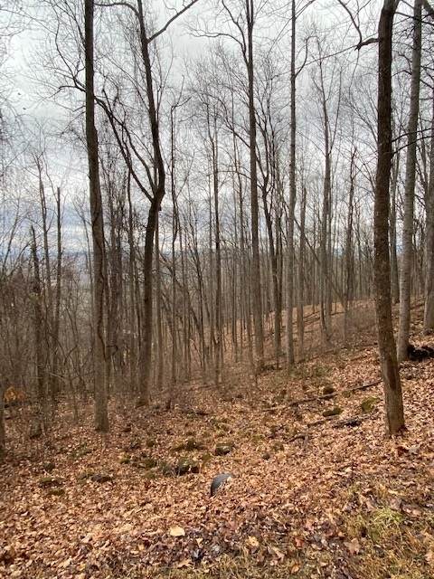 0 Rocky Knob Rd - Photo 1