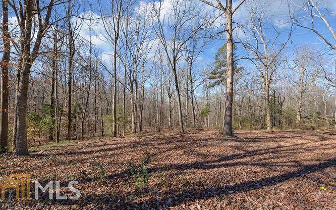 0 Carroll Church Rd - Photo 1
