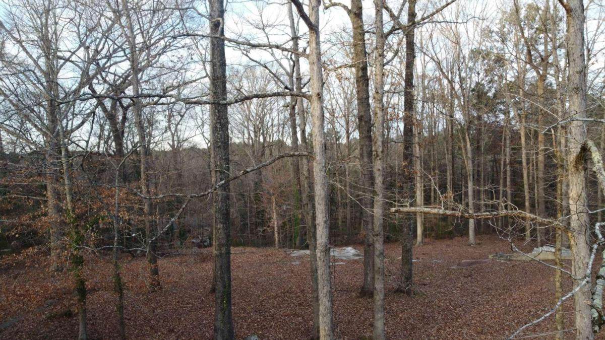 2949 Hogan Rd - Photo 1