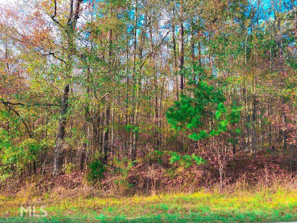 0 Old Copelan Rd - Photo 1