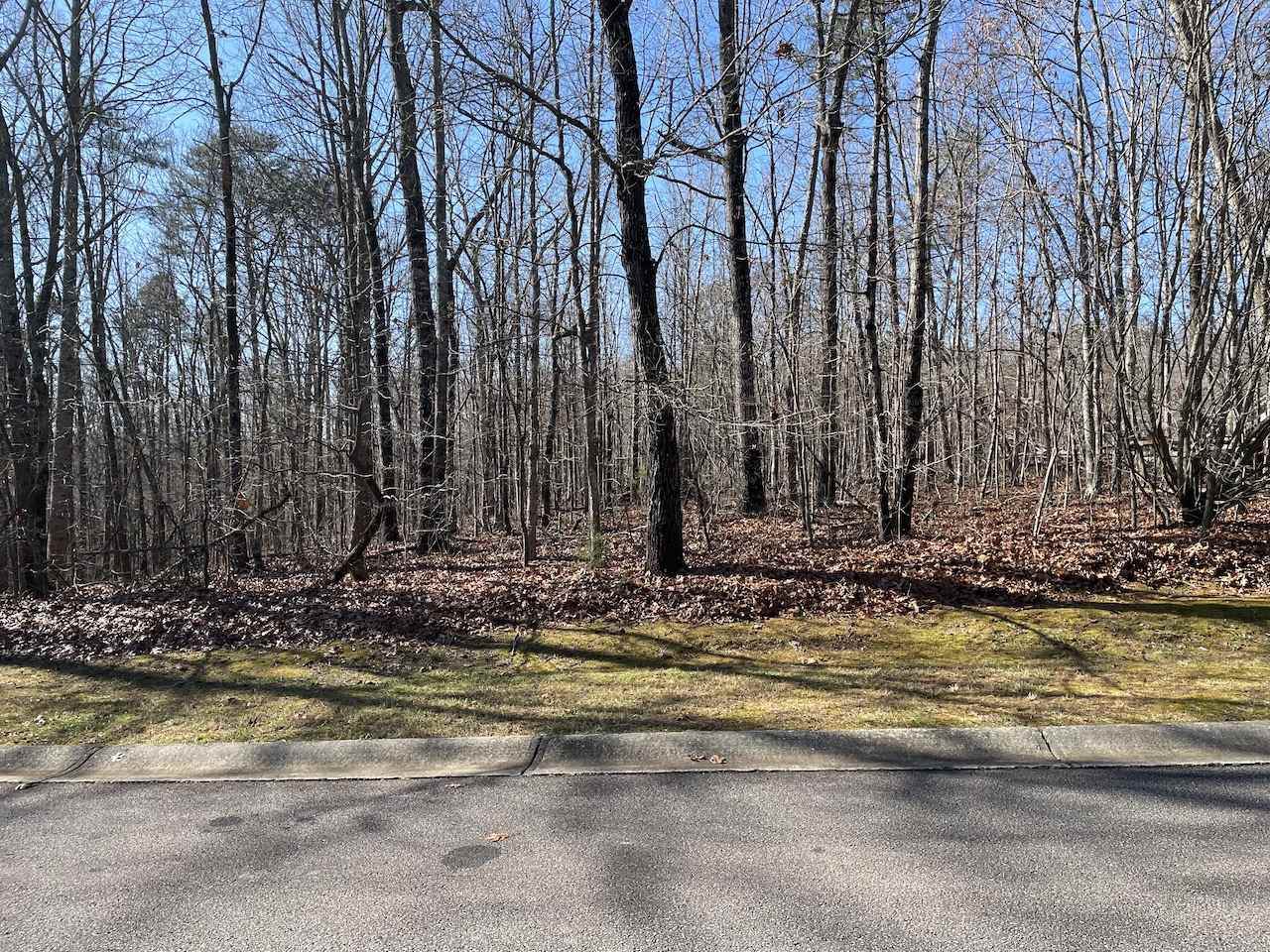 0 Shoals Ridge - Photo 1