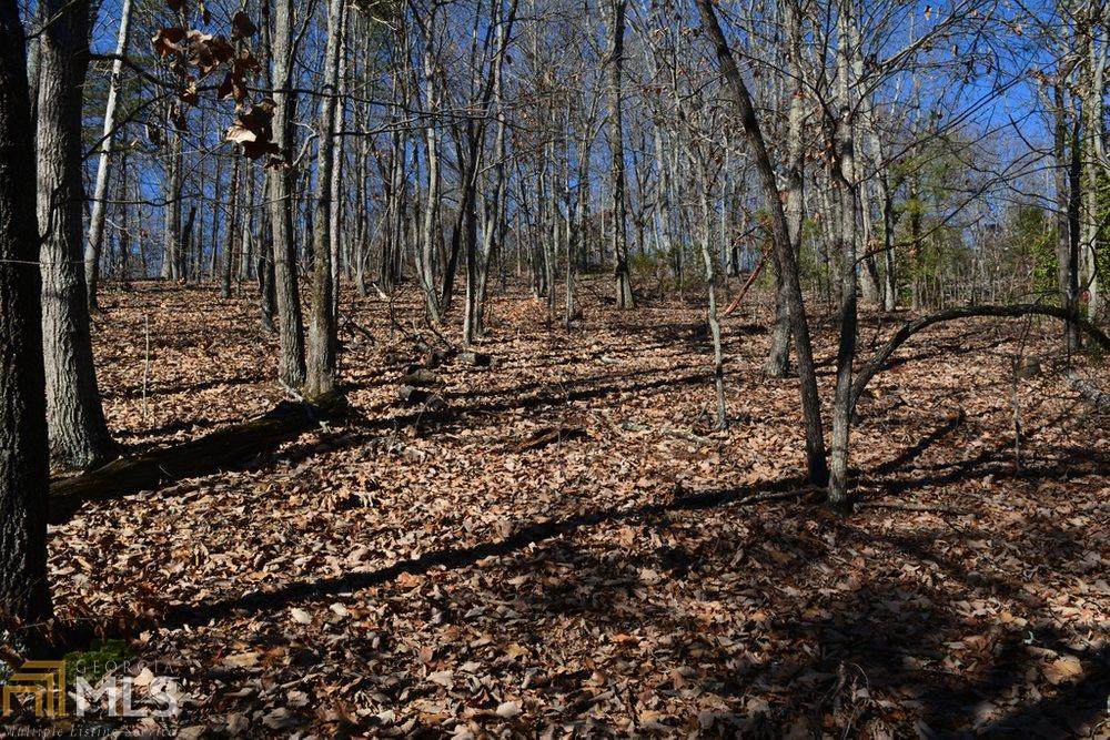 766 Fenwood Trl - Photo 1