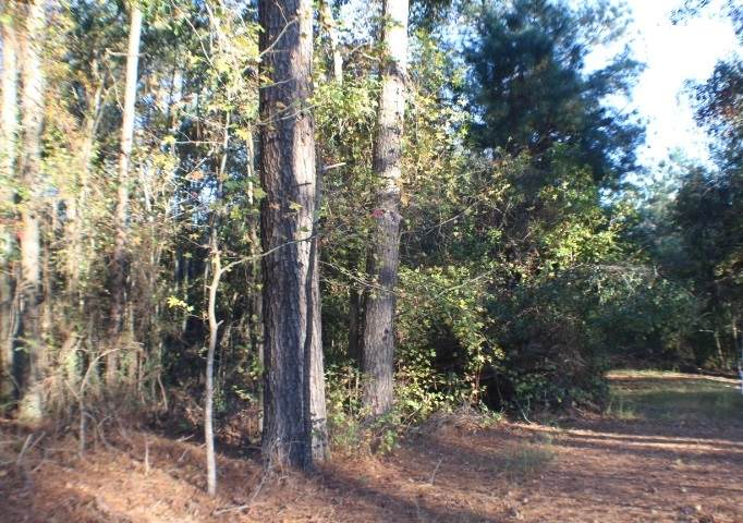 0 Garner Dominy Rd - Photo 1