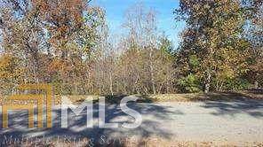 1030 Bear Paw Ridge - Photo 1