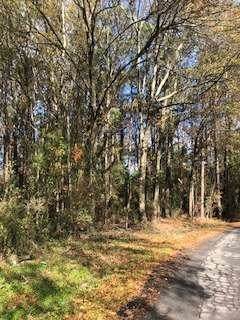 0 Village Rd - Photo 1