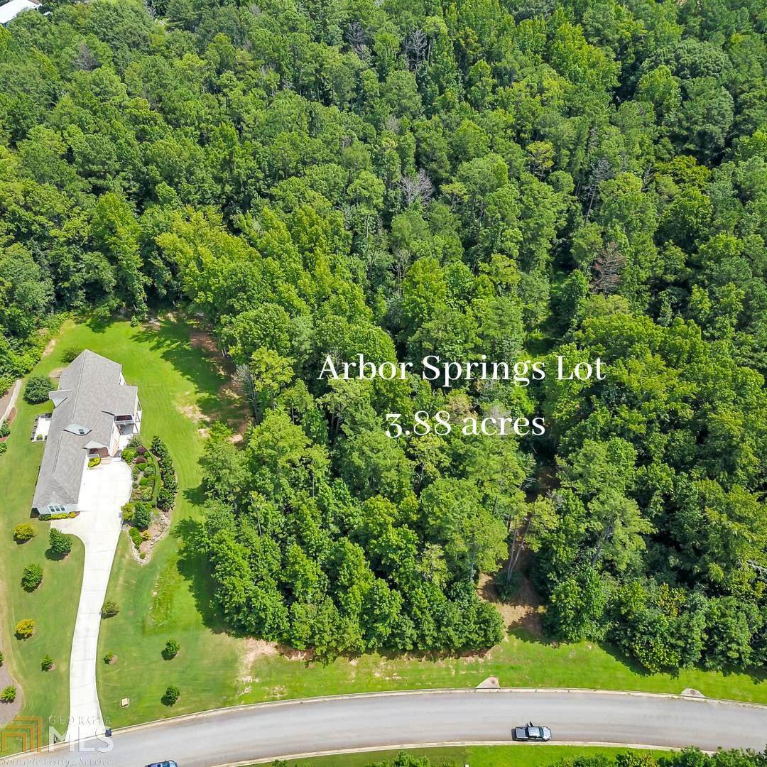 0 Arbor Springs Pkwy - Photo 1