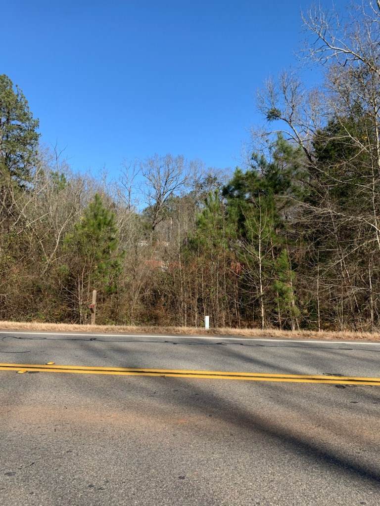 9944 Highway 212 - Photo 1