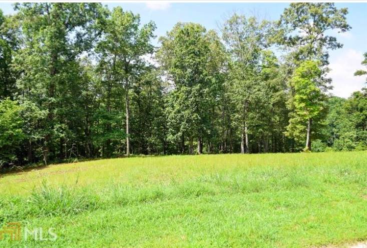 0 Rabbit Brush Ln 178 - Photo 1