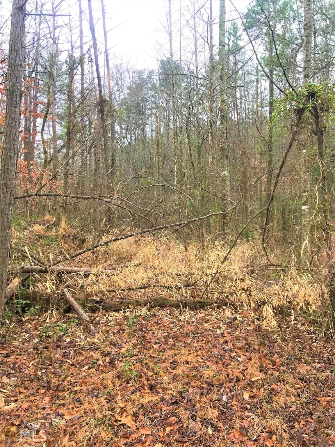 0 Darby Rd - Photo 1