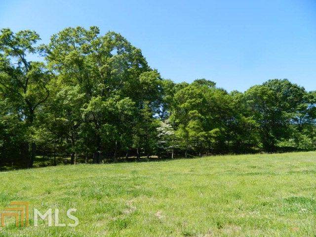 0 Bowen Farm Rd - Photo 1