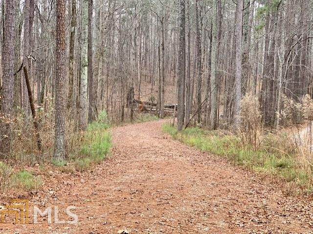 7951 Hiram Acworth Hwy - Photo 1
