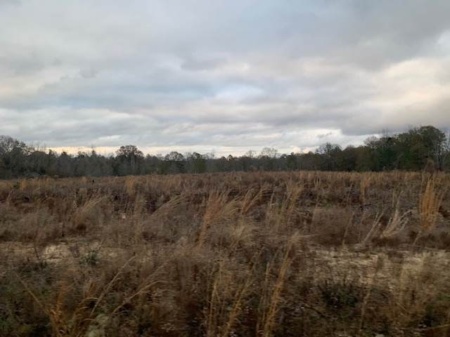 0 Brown & Kings Rd - Photo 1
