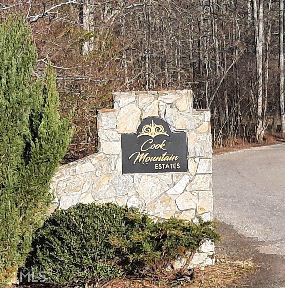 0 Cook Mountain - Photo 1