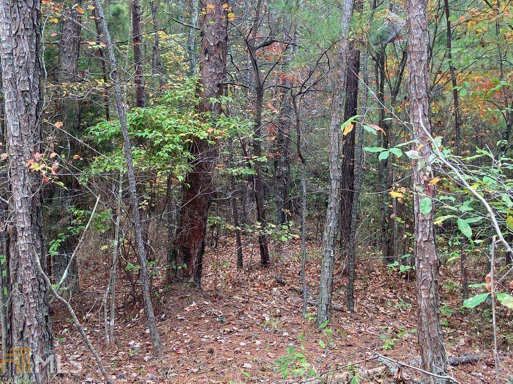 0 Willow Springs Rd - Photo 1