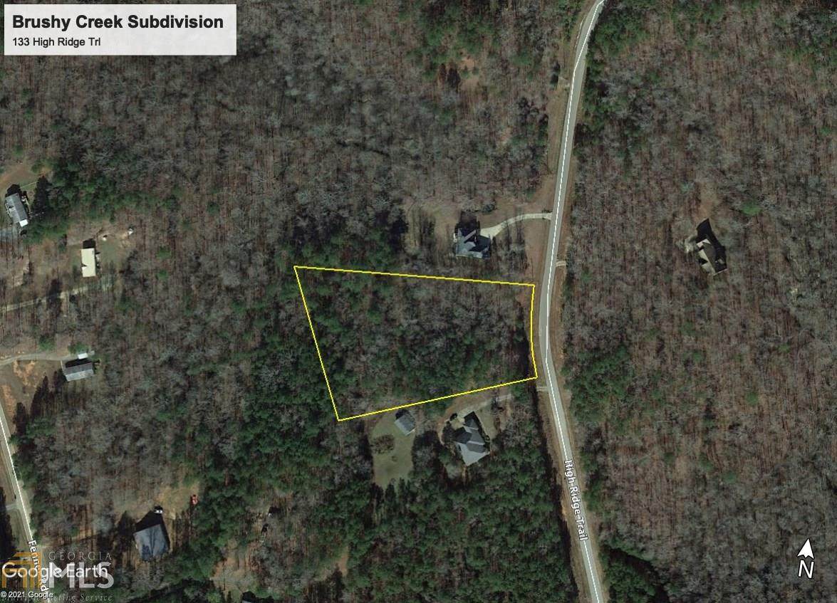 133 High Ridge Trl - Photo 1