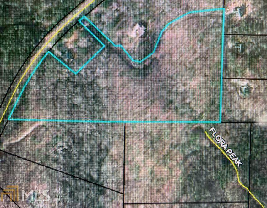 Tract 5 Woods R Wagers Mill - Photo 1