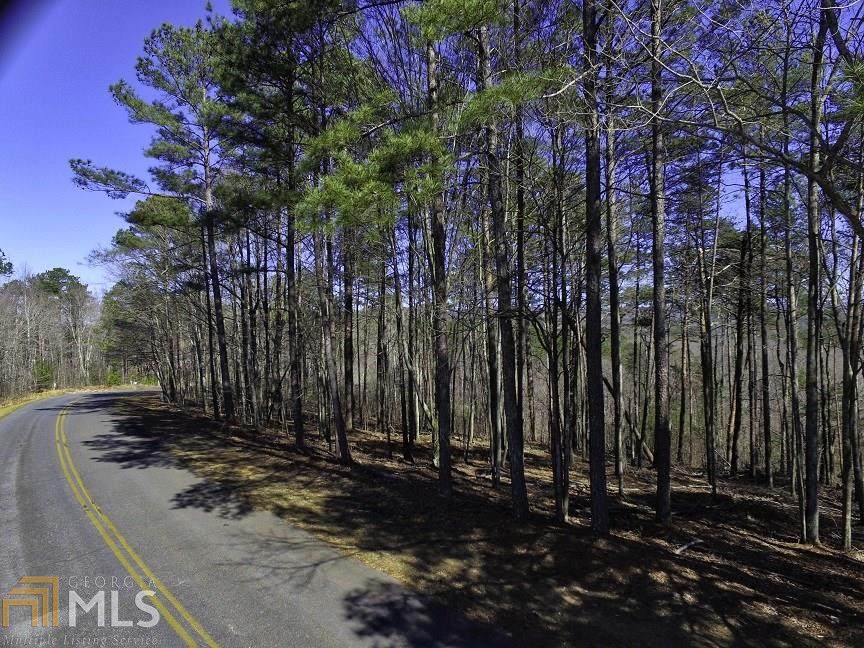 0 Doll Mountain Rd - Photo 1