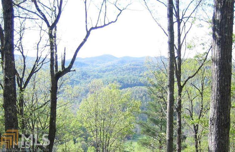 1066 Bent Grass Way - Photo 1