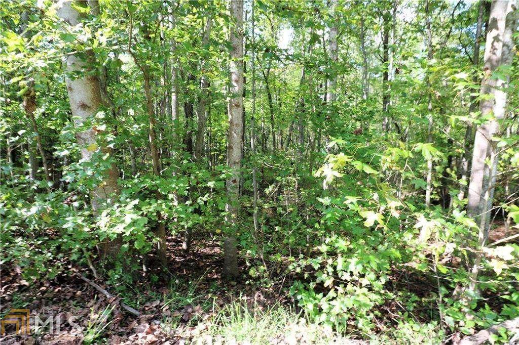 0 Mountain Way - Photo 1