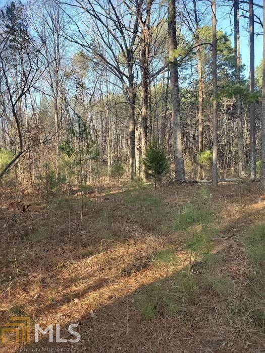 110 Old Cedartown Rd - Photo 1