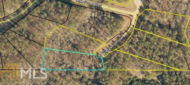 0 Masons Ridge Lot 53 - Photo 1