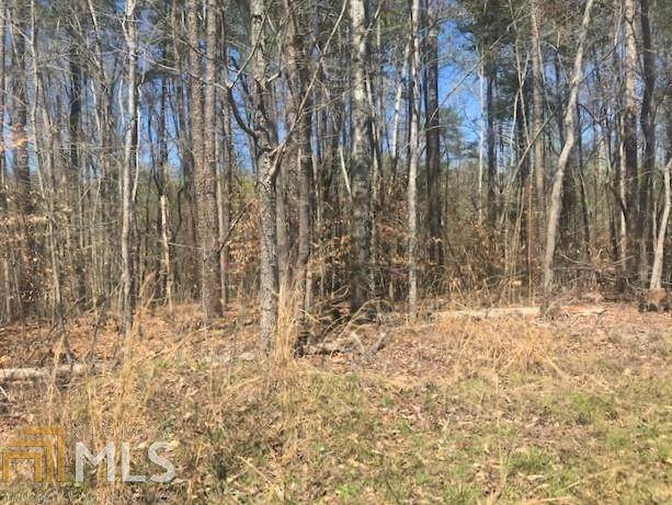 97 Laurel - Photo 1