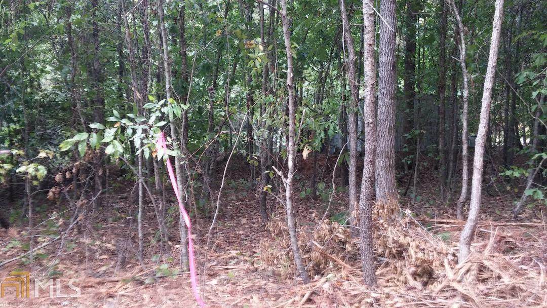 2360 Snapping Shoals Rd - Photo 1