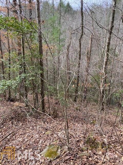 0 Conasauga Estates - Photo 1