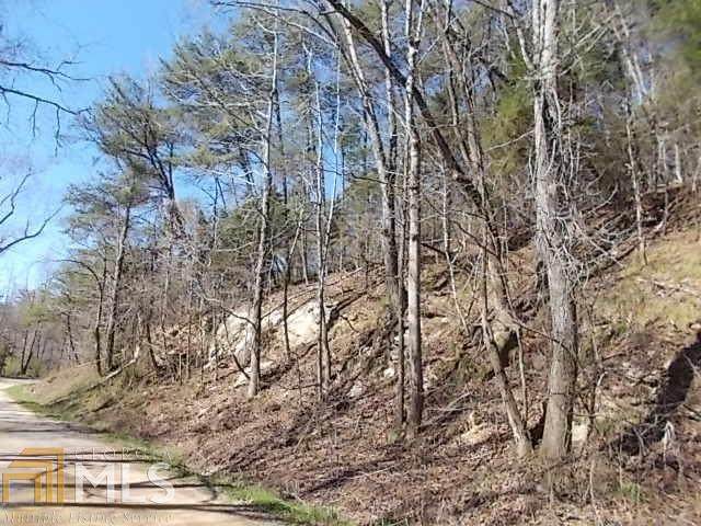 395C Treat Mountain Rd - Photo 1