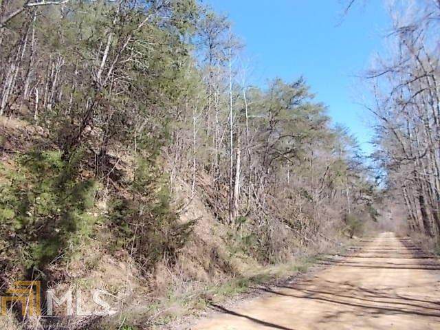 395D Treat Mountain Rd - Photo 1