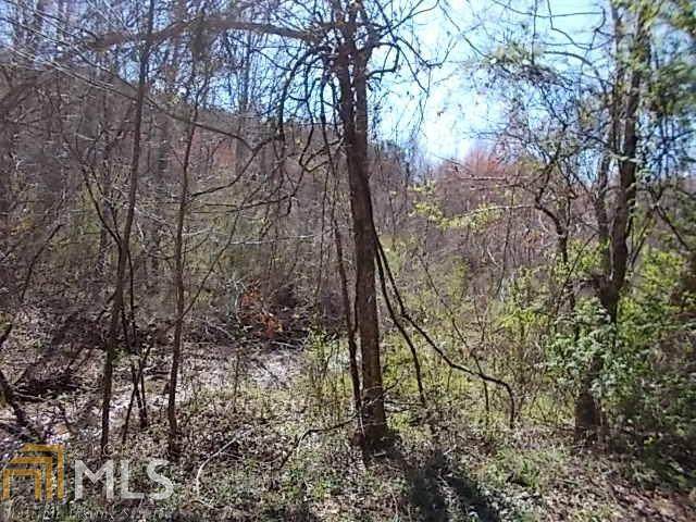 395F Treat Mountain Rd - Photo 1