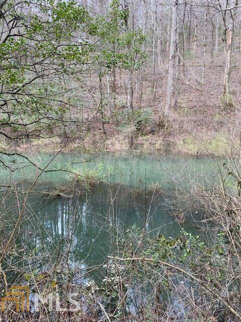 0 Conasauga Estates - Photo 1