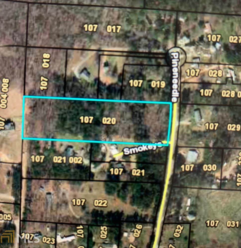 0 Pine Needle Dr - Photo 1