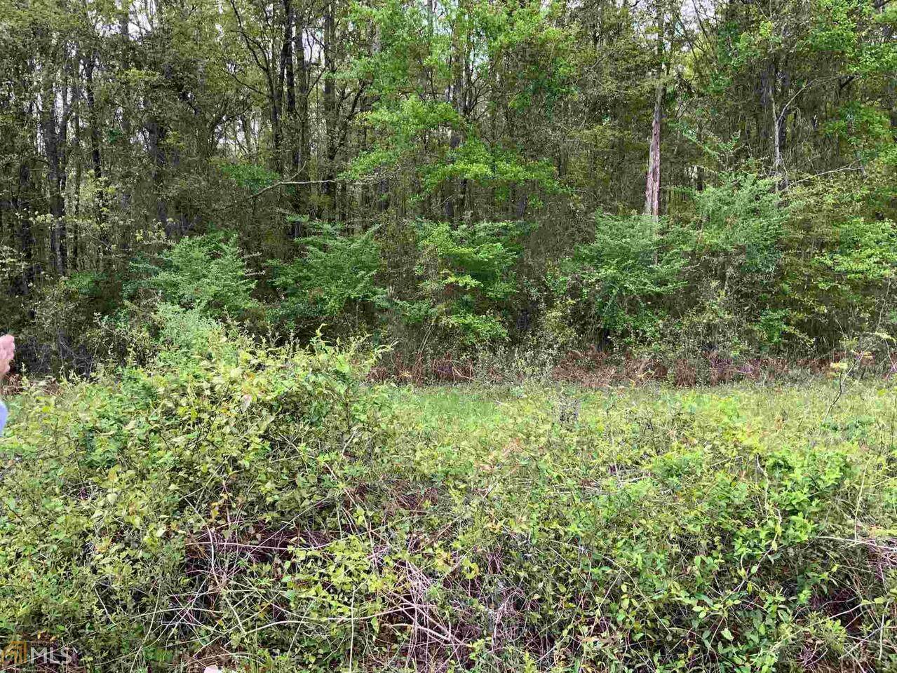 0 Buck Creek Road - Photo 1