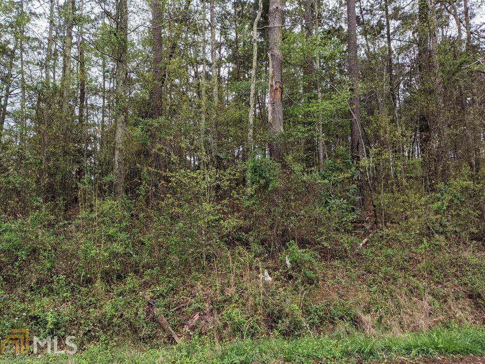 0 Pine Hill Rd - Photo 1