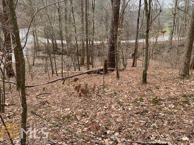 0 Beaver Lake Dr - Photo 1